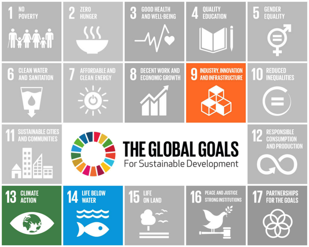 The global goals for sustainable development