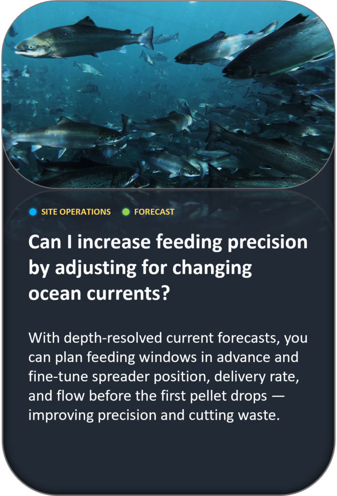 Can I increase feeding precision by adjusting for changing ocean currents? With depth-resolved current forecasts, you can plan feeding windows in advance and fine-tune spreader position, delivery rate, and flow before the first pellet drops — improving precision and cutting waste