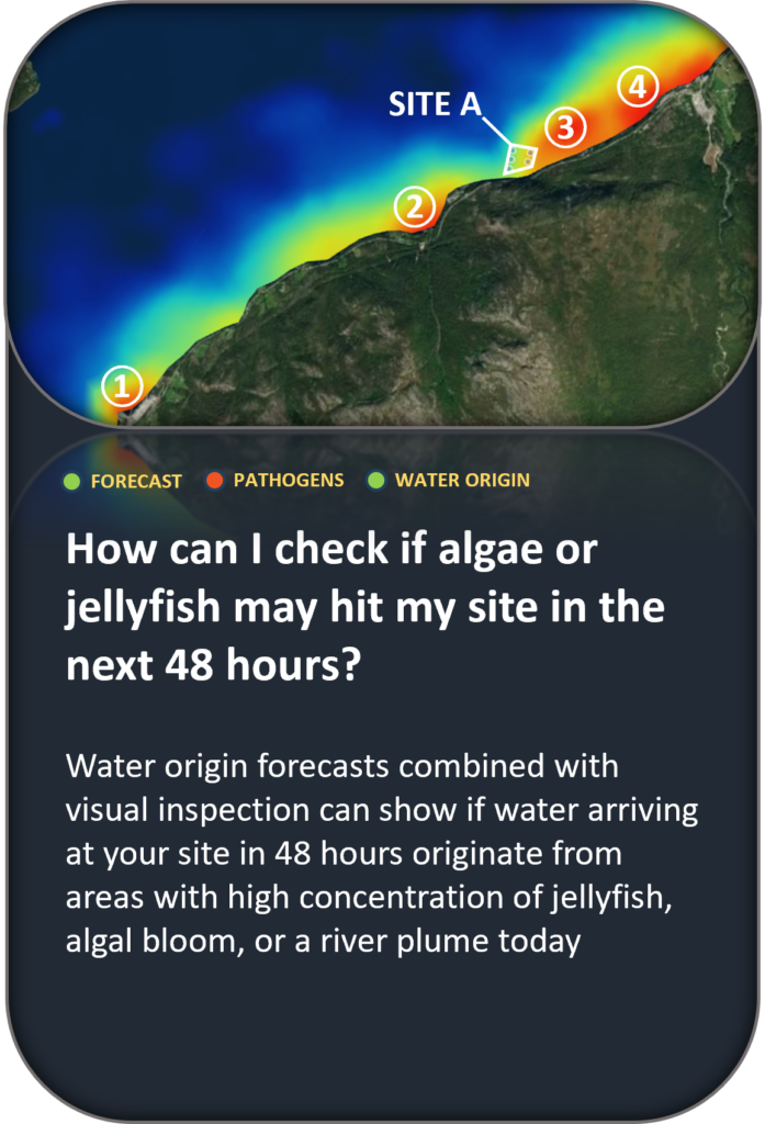 How can I check if algae or jellyfish may hit my site in the next 48 hours? Water origin forecasts combined with visual inspection can show if water arriving at your site in 48 hours originate from areas with high concentration of jellyfish, algal bloom, or a river plume today